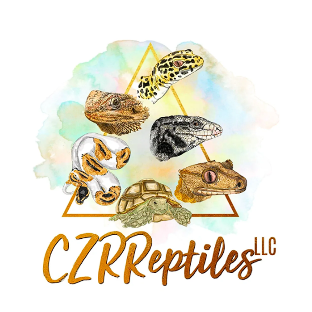 CZR Reptiles